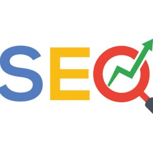 Profesyonel Master Seo Paketi